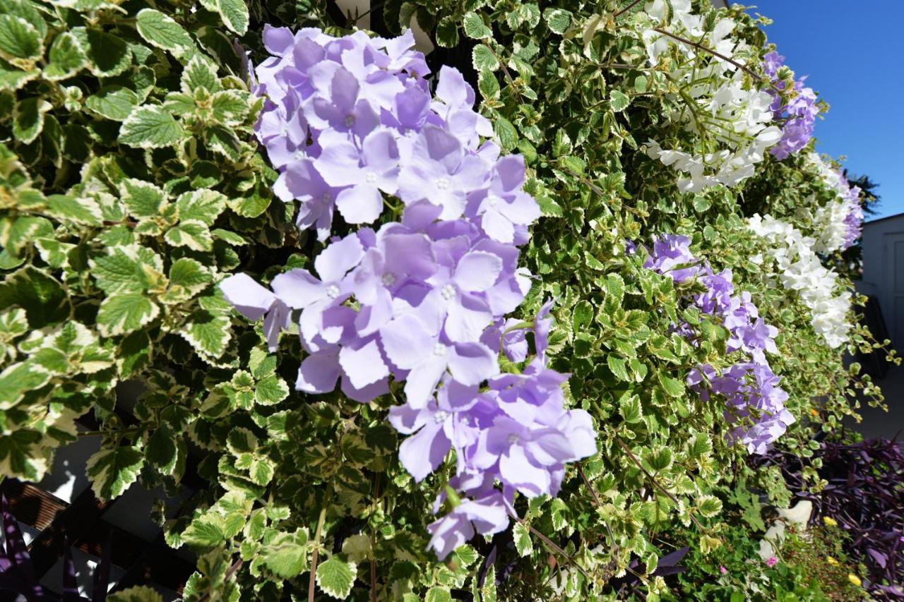 Apartment Lavender Вир Екстериор снимка