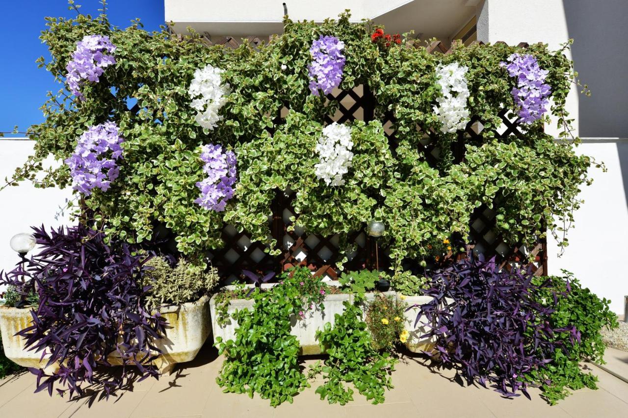 Apartment Lavender Вир Екстериор снимка